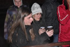 Rozsvícení vánočního stromu 2014