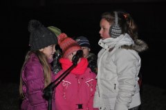 Rozsvícení vánočního stromu 2014