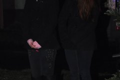 Rozsvícení vánočního stromu 2014